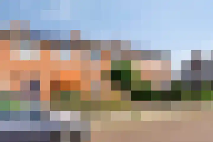 Jasmijnstraat 9 Musselkanaal thumbnail 8