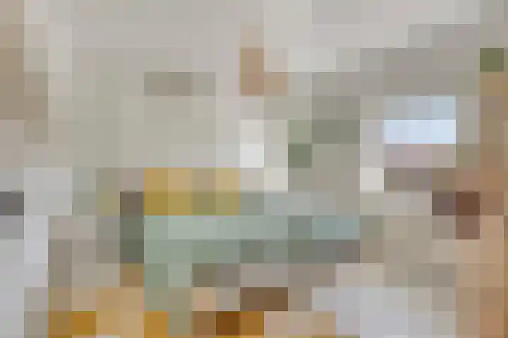 Jasmijnstraat 9 Son en Breugel thumbnail 17