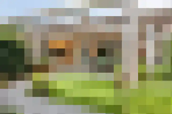Jasmijnstraat 9 Son en Breugel thumbnail 26