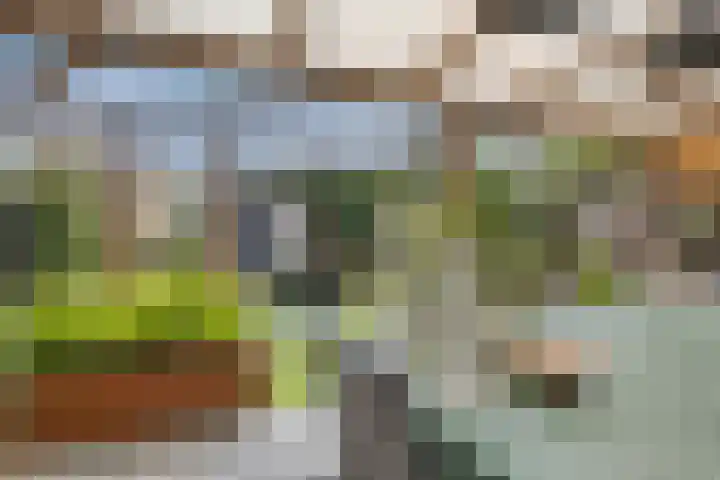 Jasmijnstraat 9 Son en Breugel thumbnail 27