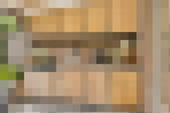 Jasmijnstraat 9 Son en Breugel thumbnail 28