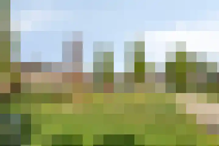 Jasmijnstraat 9 Son en Breugel thumbnail 31