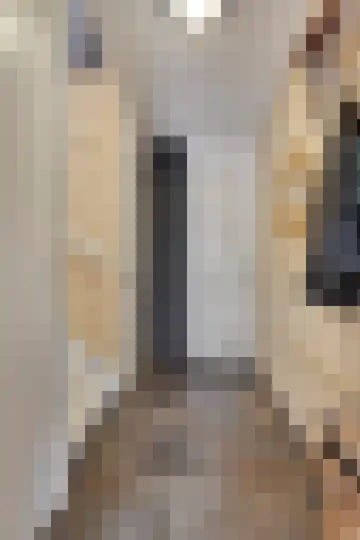 Jasmijnstraat 9 Son en Breugel thumbnail 4