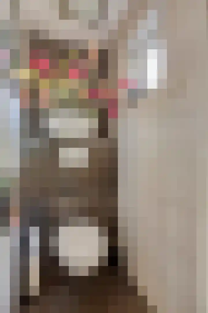 Jasmijnstraat 9 Son en Breugel thumbnail 5
