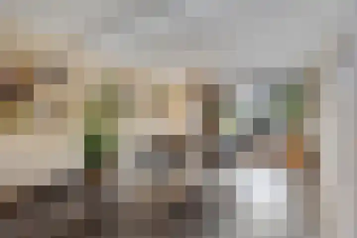 Jasmijnstraat 9 Son en Breugel thumbnail 7