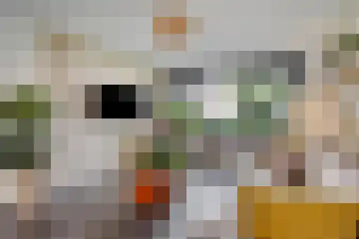 Jasmijnstraat 9 Son en Breugel thumbnail 8