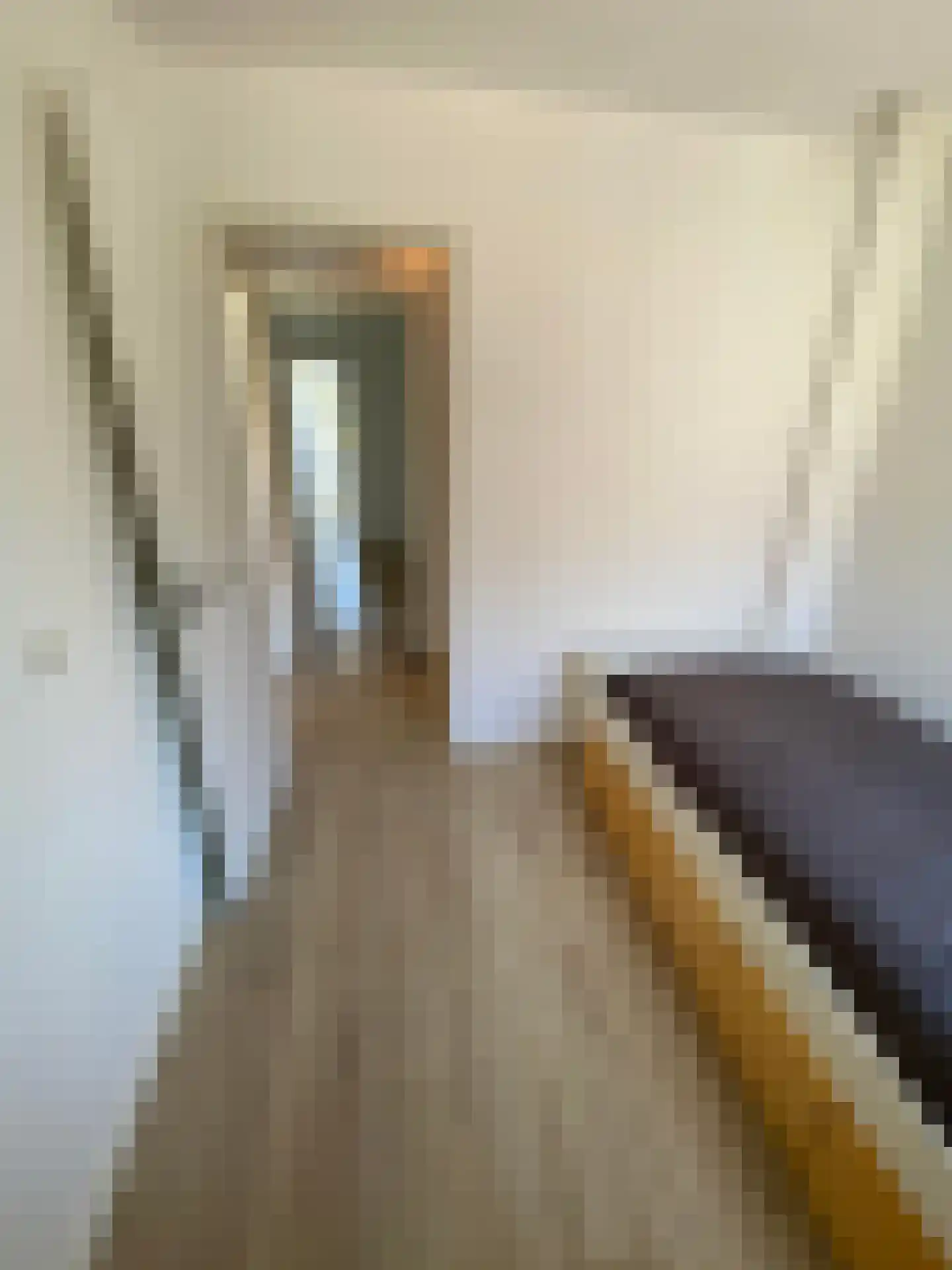 Jasmijnstraat 96 Den Haag thumbnail 13