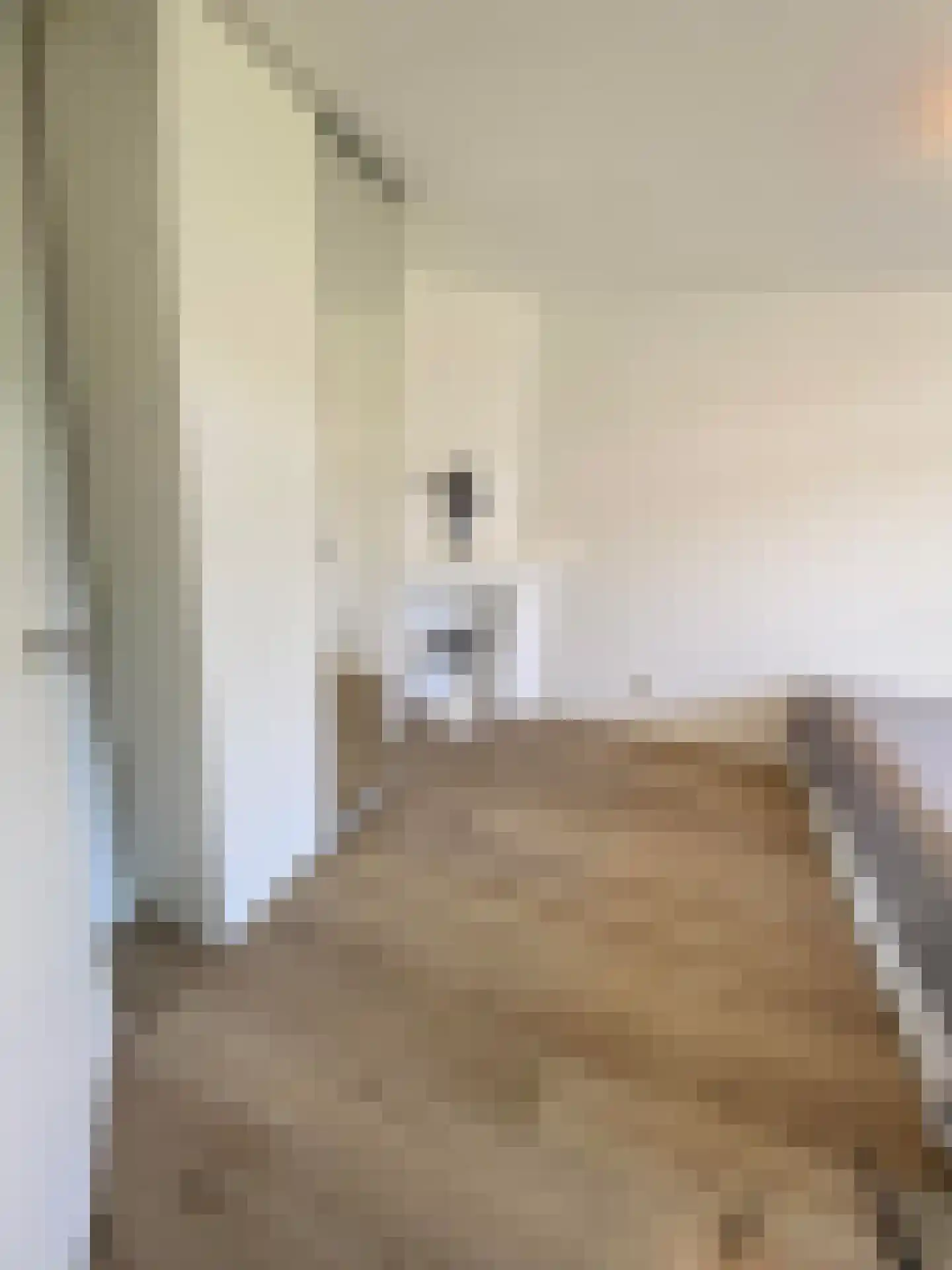 Jasmijnstraat 96 Den Haag thumbnail 18