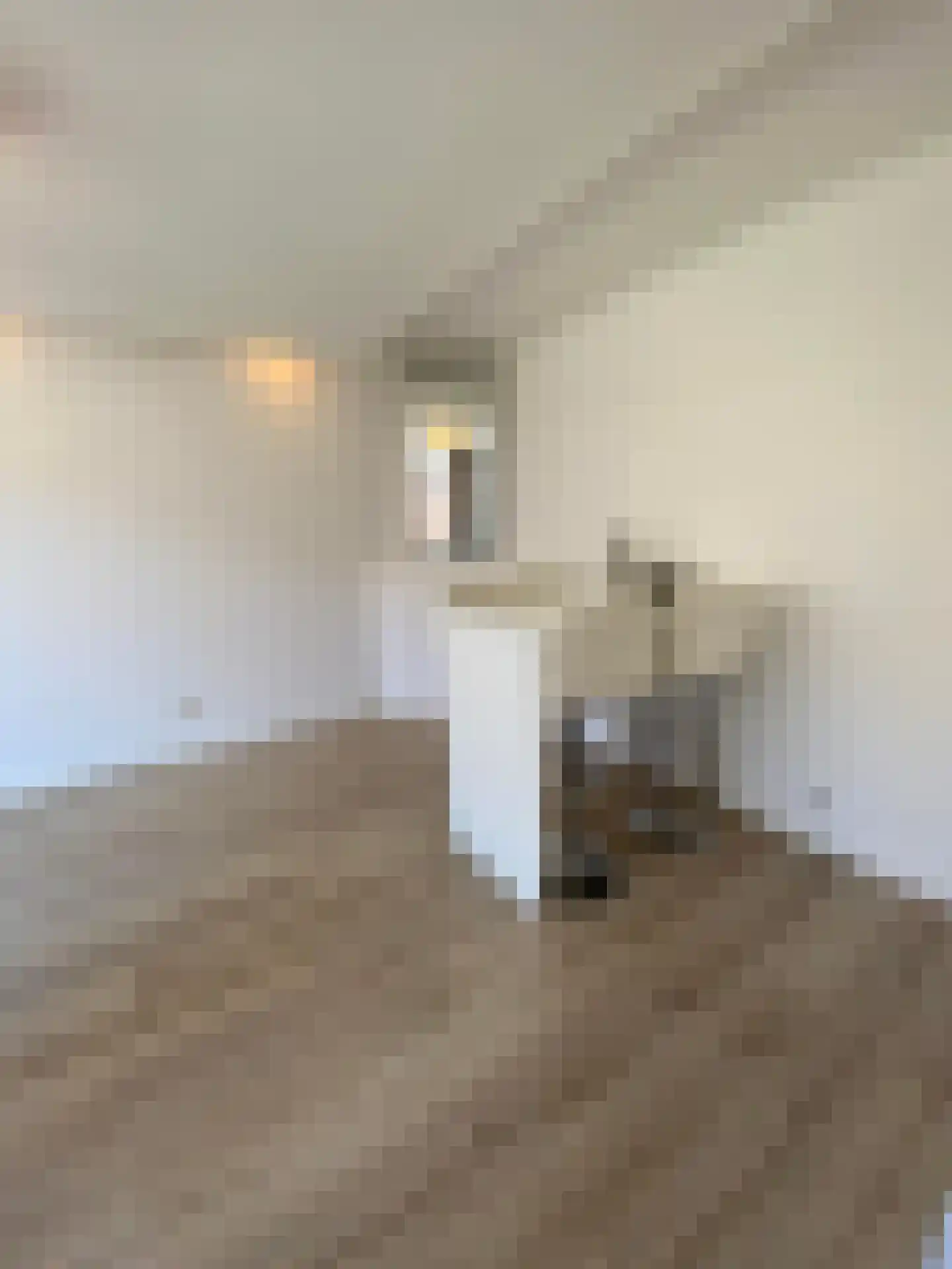 Jasmijnstraat 96 Den Haag thumbnail 9