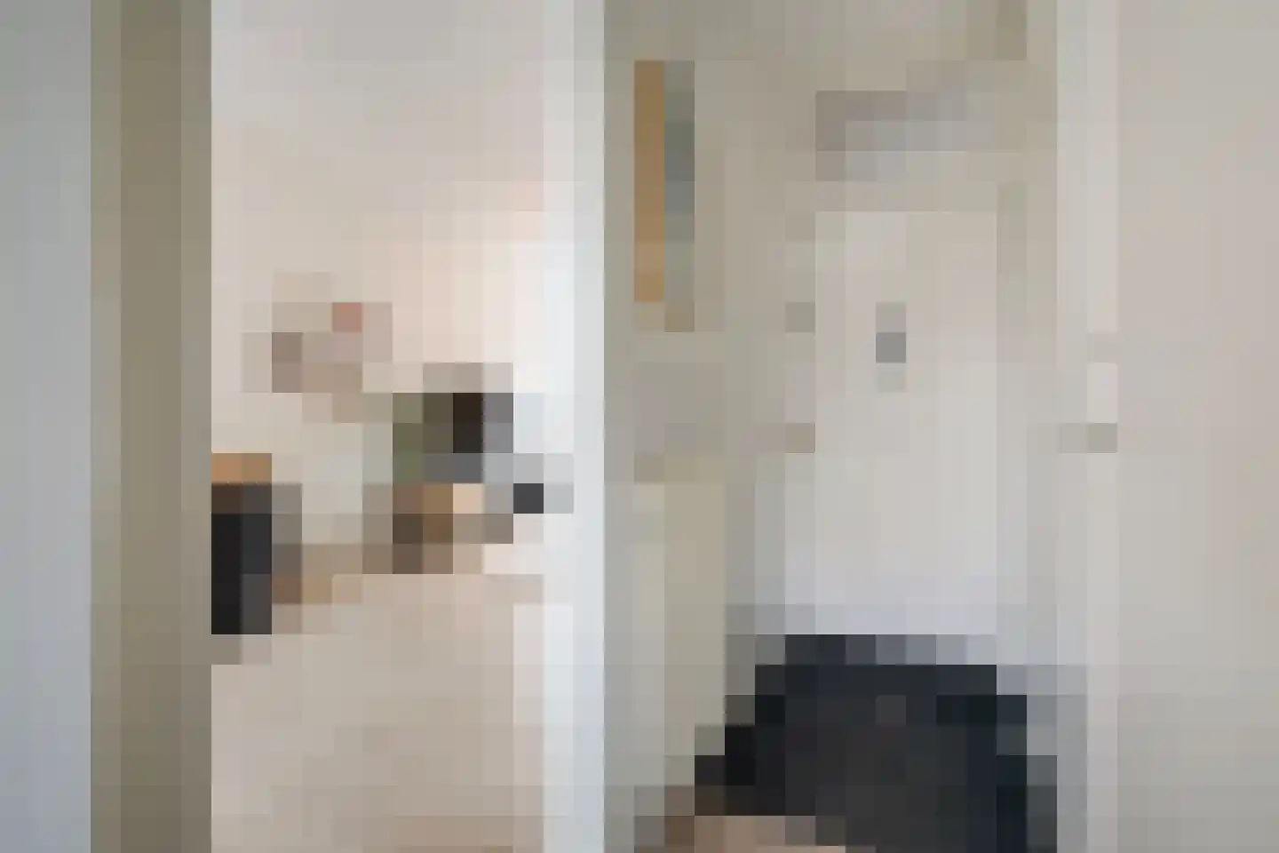 Jasmijnstraat 97 Den Haag thumbnail 11