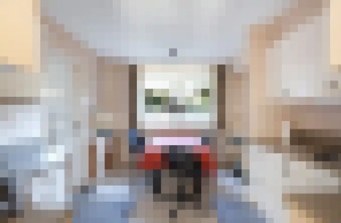 Jasmijnweg 12 Ermelo thumbnail 10