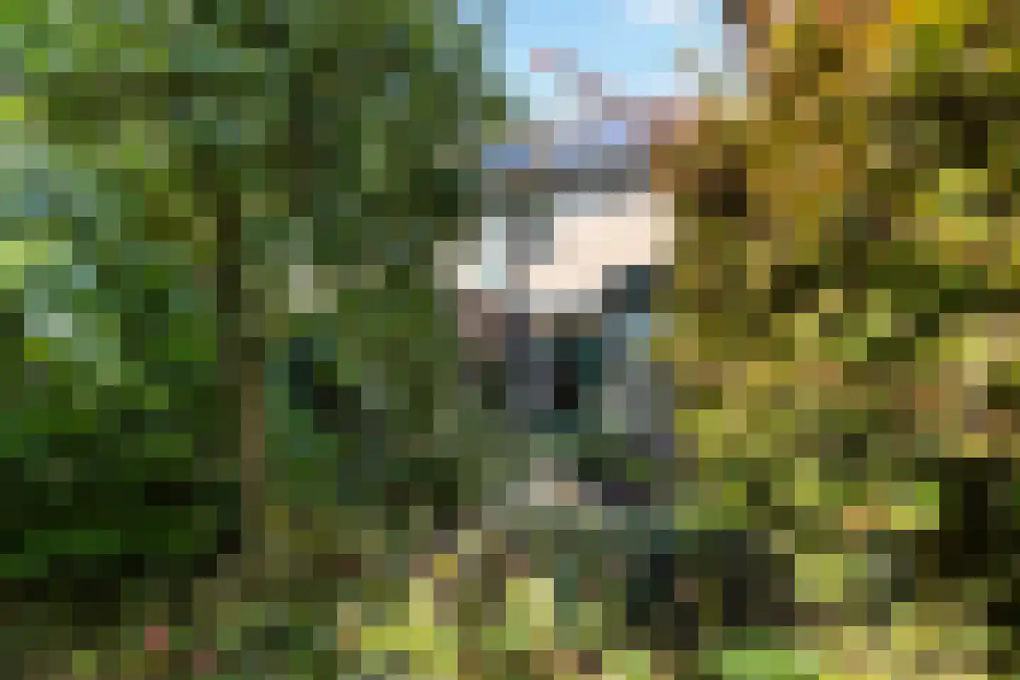 Jasmijnweg 12 Ermelo thumbnail 13