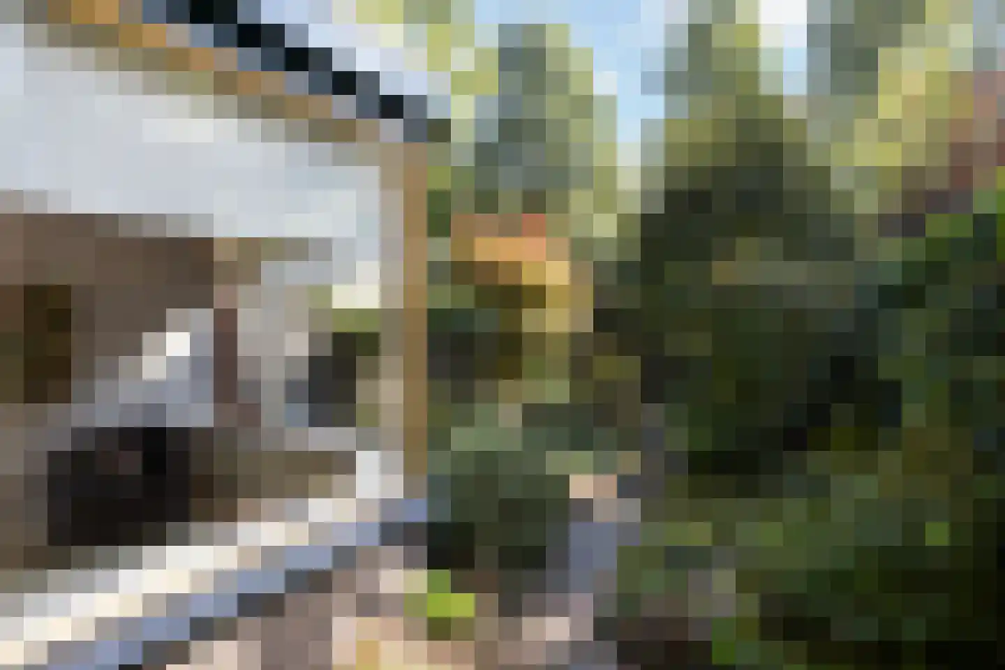 Jasmijnweg 12 Ermelo thumbnail 14