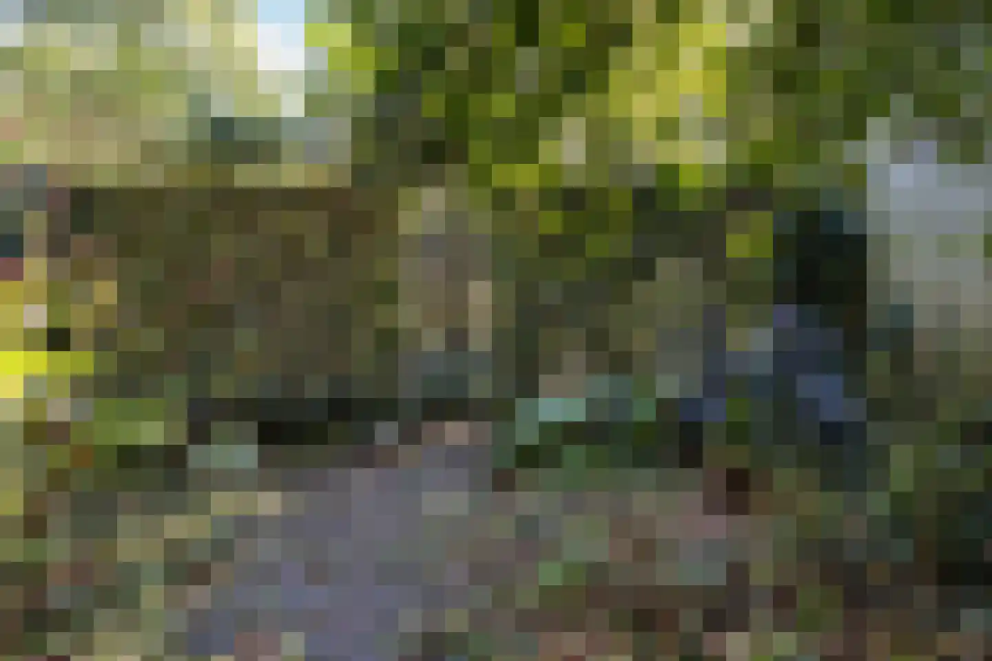 Jasmijnweg 12 Ermelo thumbnail 33
