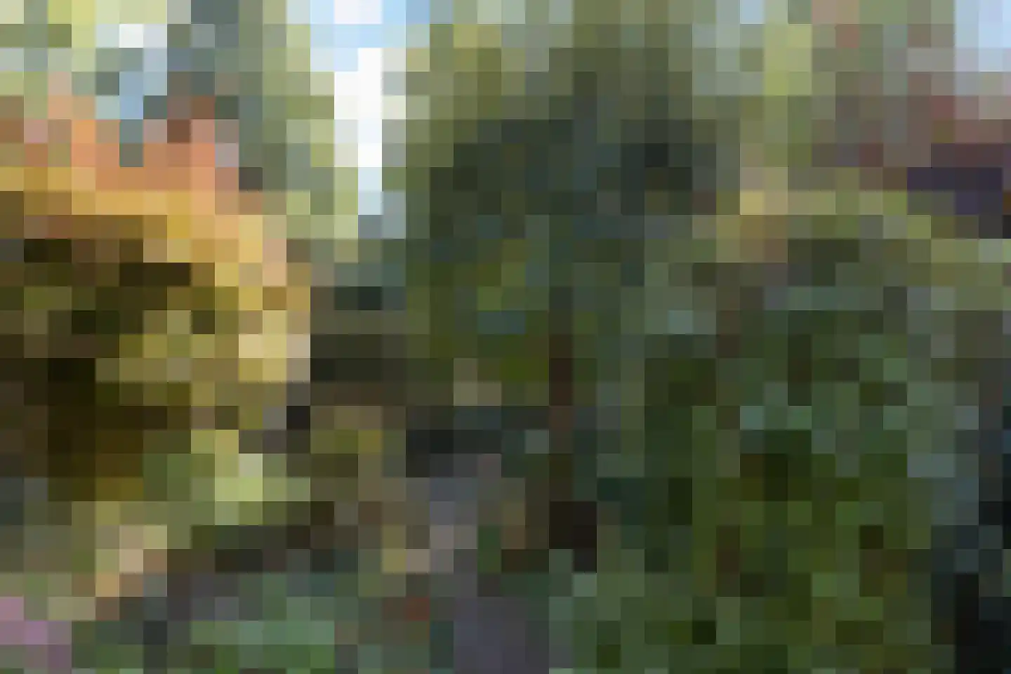 Jasmijnweg 12 Ermelo thumbnail 34