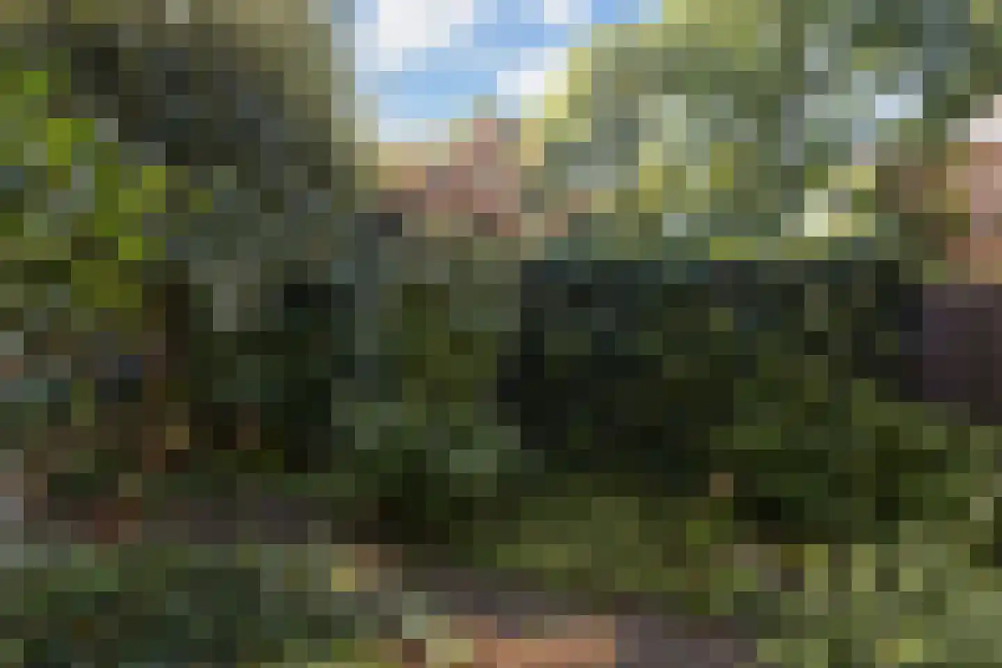 Jasmijnweg 12 Ermelo thumbnail 35