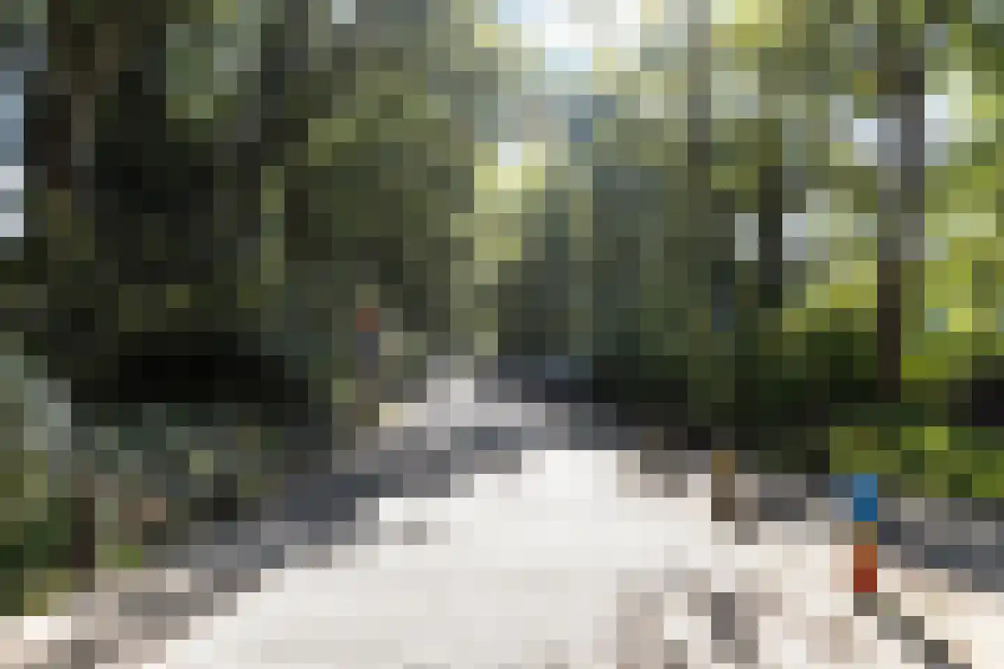 Jasmijnweg 12 Ermelo thumbnail 37
