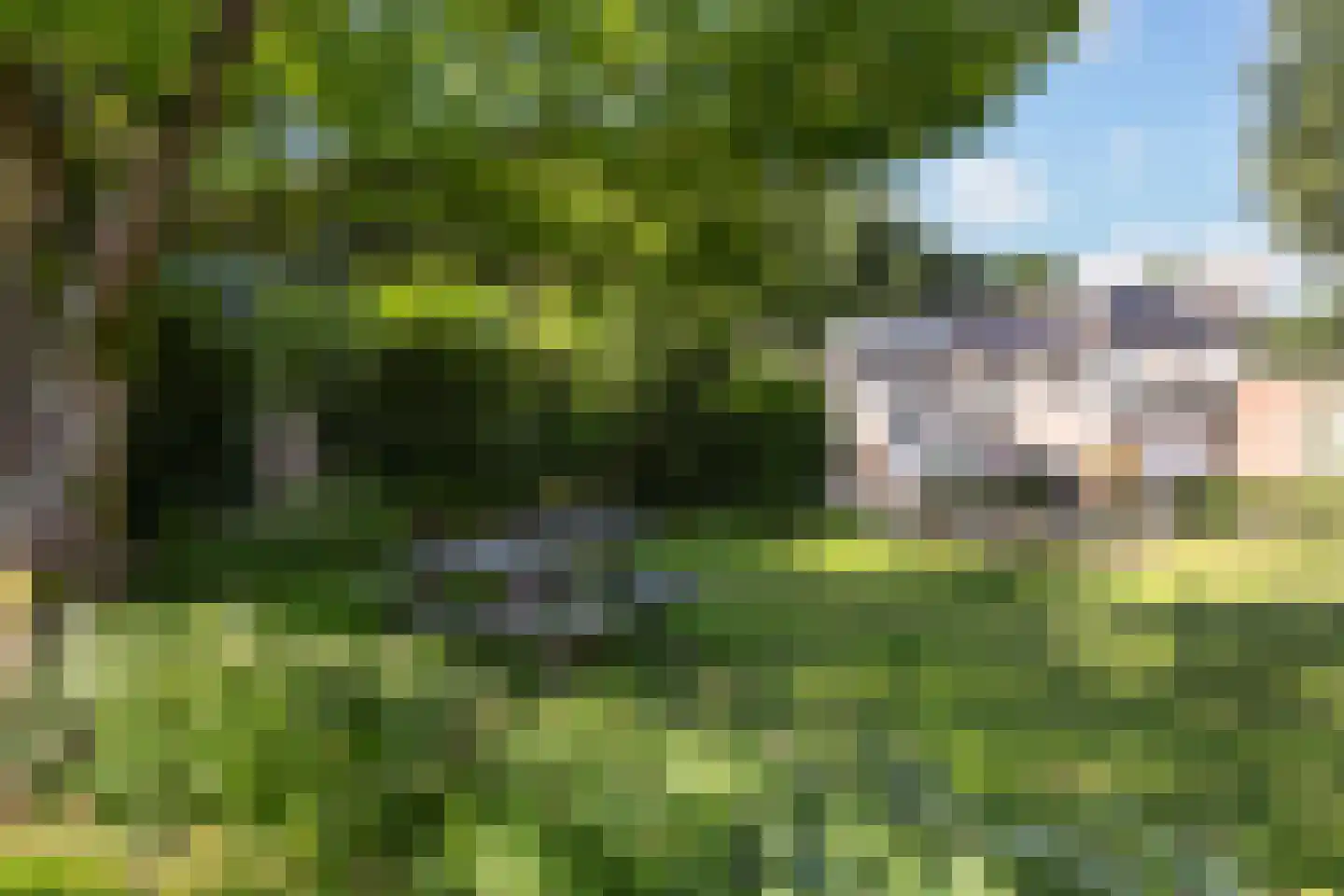 Jasmijnweg 12 Ermelo thumbnail 39