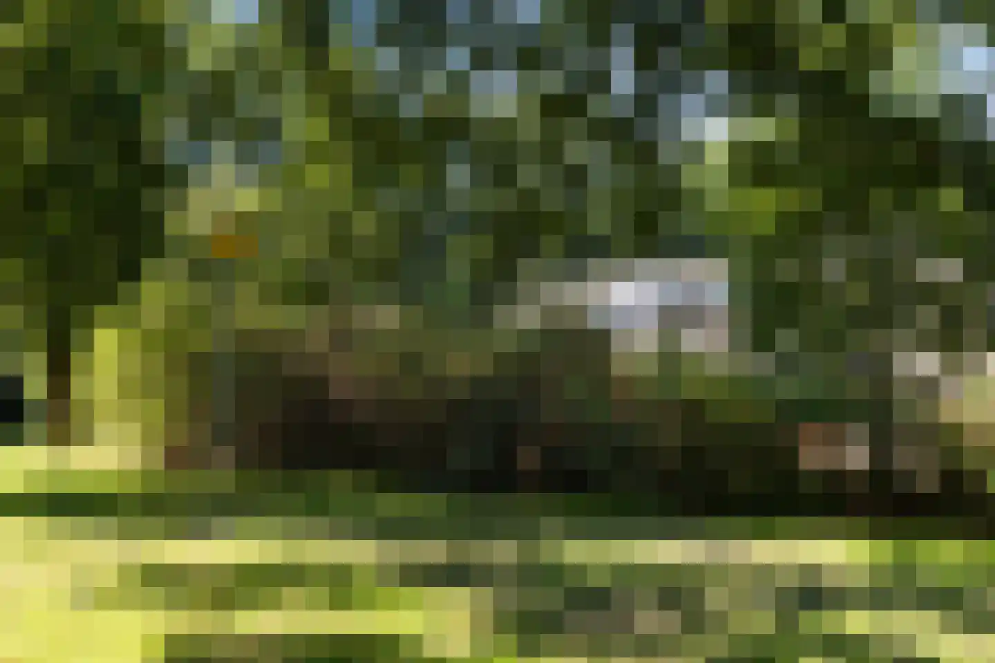 Jasmijnweg 12 Ermelo thumbnail 40