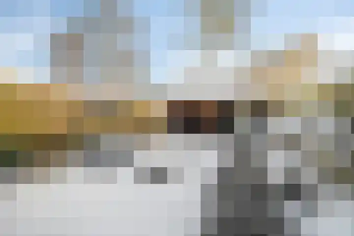 Jasmijnweg 18 Nunspeet thumbnail 35