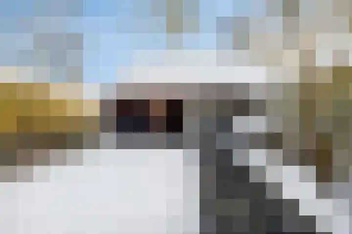 Jasmijnweg 18 Nunspeet thumbnail 37