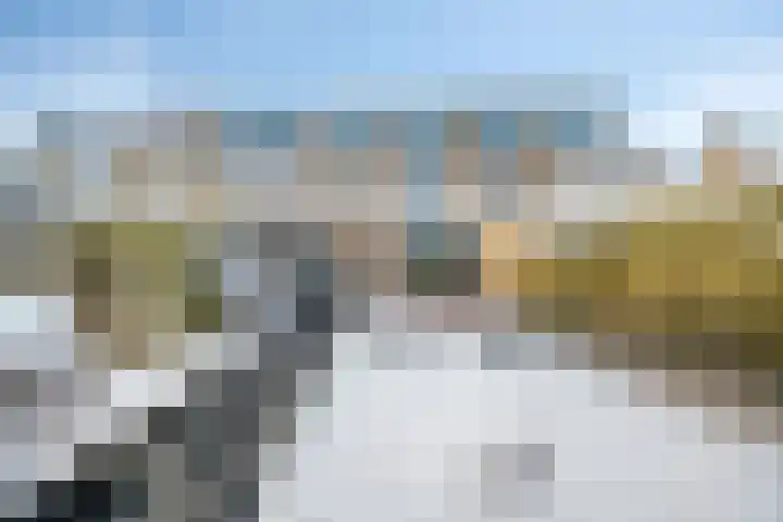 Jasmijnweg 18 Nunspeet thumbnail 40