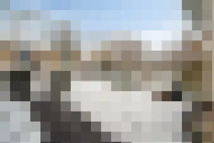Jasmijnweg 18 Nunspeet thumbnail 42