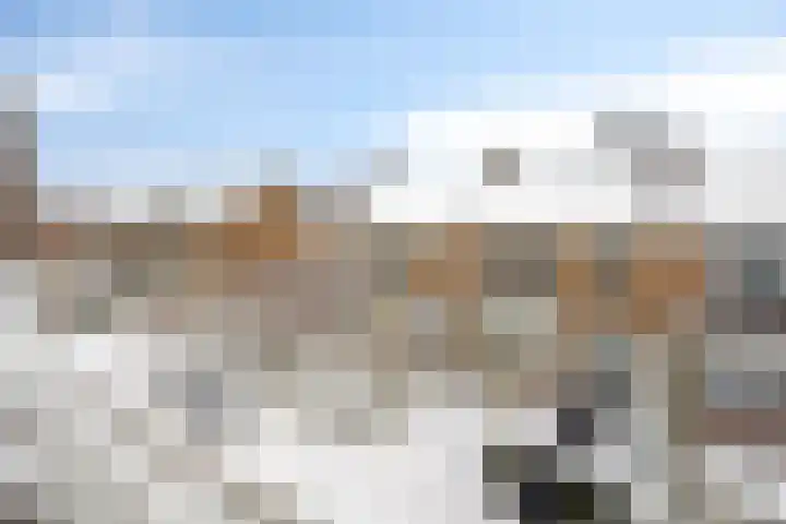 Jasmijnweg 18 Nunspeet thumbnail 44