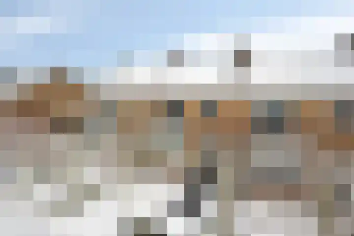 Jasmijnweg 18 Nunspeet thumbnail 6