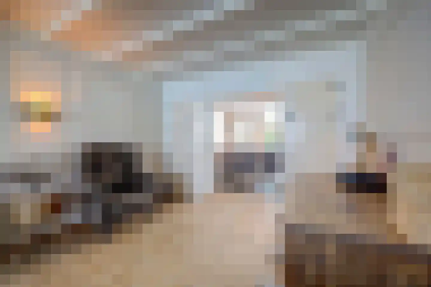 Jasmijnweg 9 Nunspeet thumbnail 14