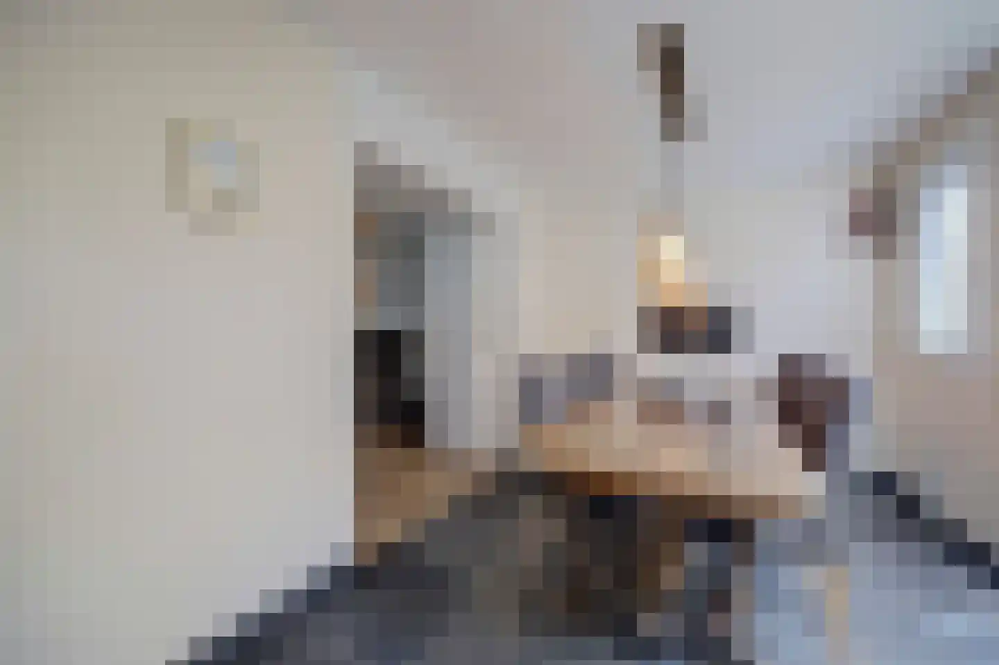 Jasmijnweg 9 Nunspeet thumbnail 24