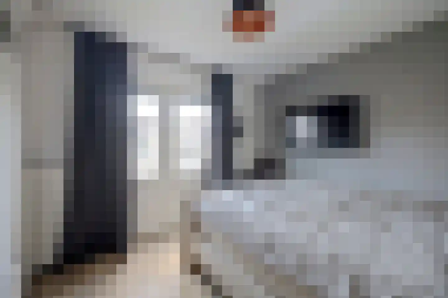 Jasmijnweg 9 Nunspeet thumbnail 28