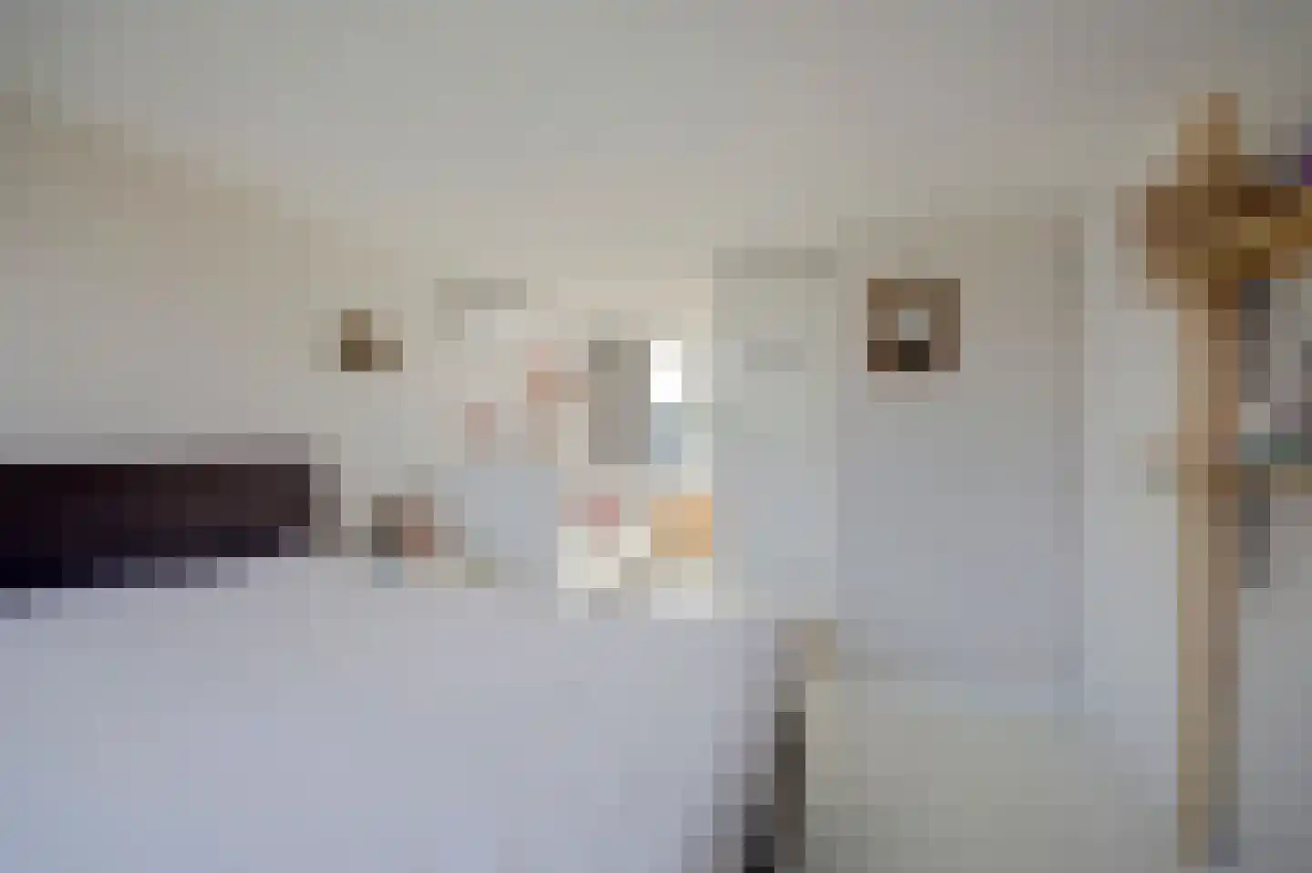 Jasmijnweg 9 Nunspeet thumbnail 38