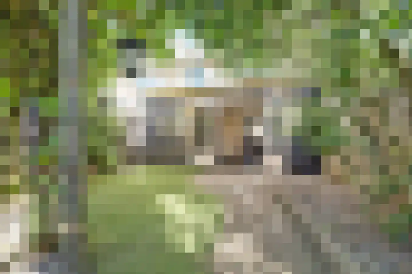 Jasmijnweg 9 Nunspeet thumbnail 42
