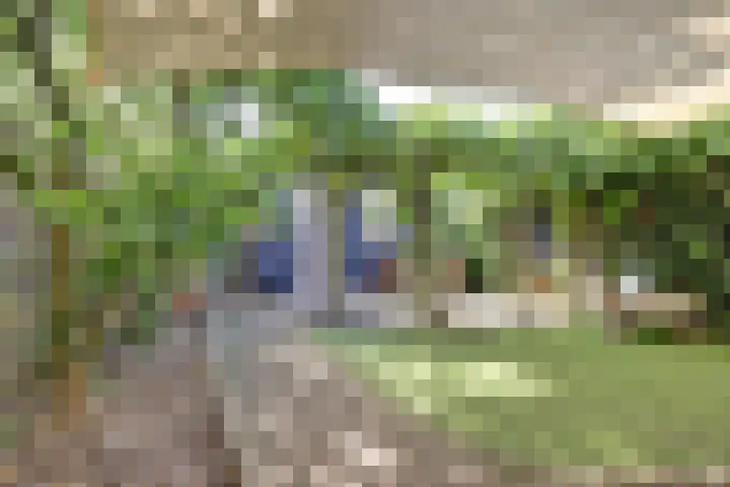 Jasmijnweg 9 Nunspeet thumbnail 43