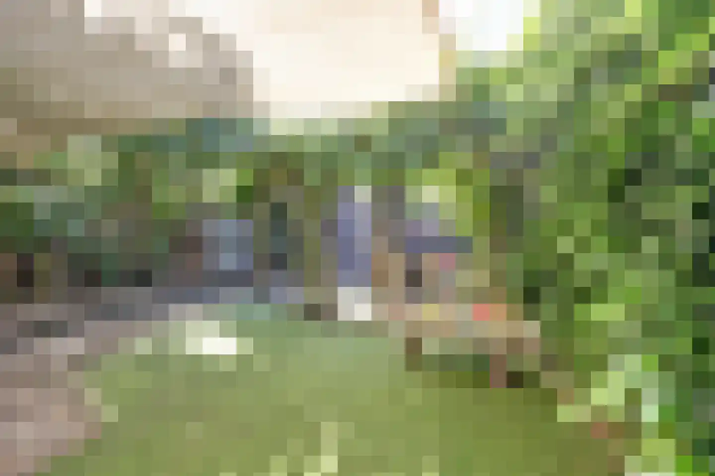 Jasmijnweg 9 Nunspeet thumbnail 44