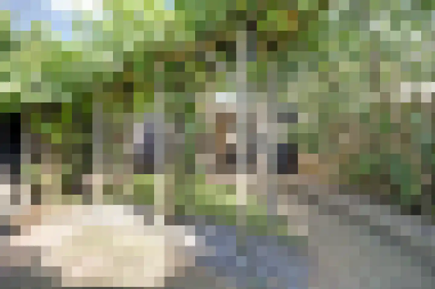 Jasmijnweg 9 Nunspeet thumbnail 5