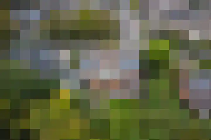 Jasmijnweg 90 Ermelo thumbnail 41