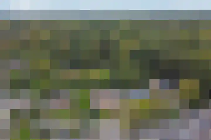 Jasmijnweg 90 Ermelo thumbnail 42