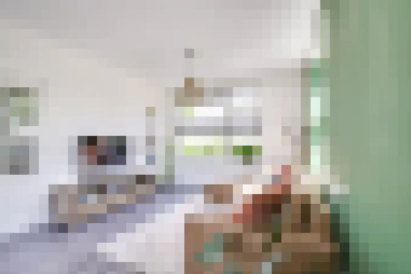 Jasondreef 11 Utrecht thumbnail 13