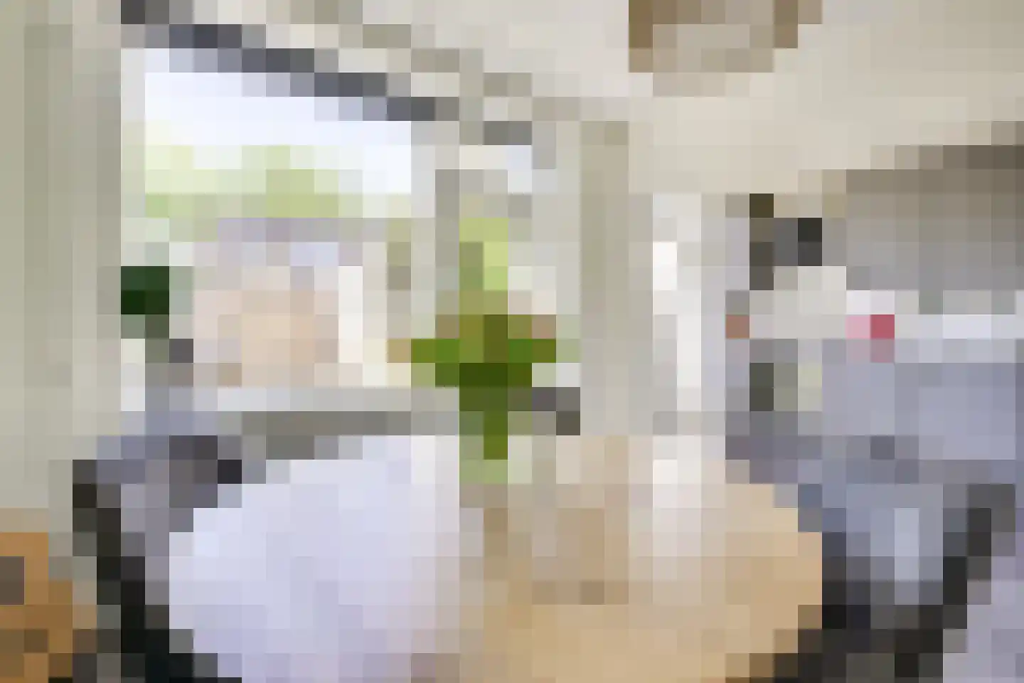 Jasondreef 11 Utrecht thumbnail 15