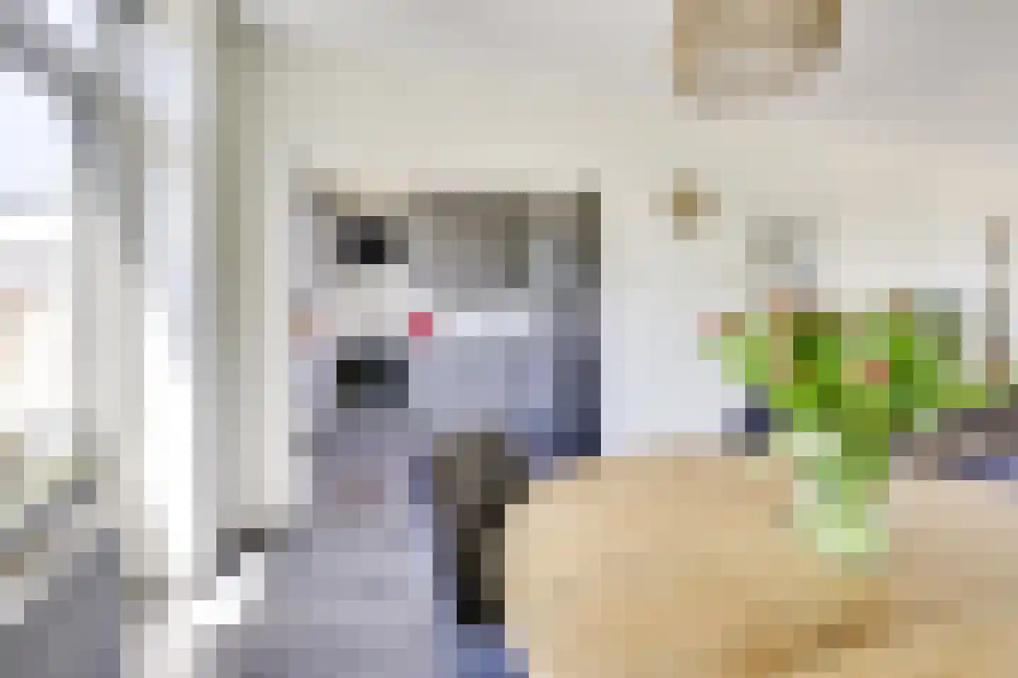 Jasondreef 11 Utrecht thumbnail 16
