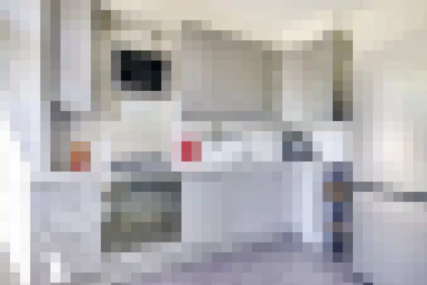 Jasondreef 11 Utrecht thumbnail 17