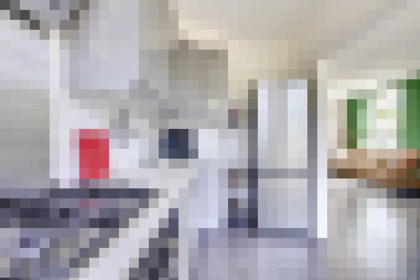 Jasondreef 11 Utrecht thumbnail 19