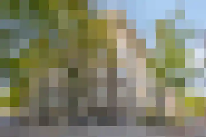 Jasonstraat 31 H Amsterdam thumbnail 4