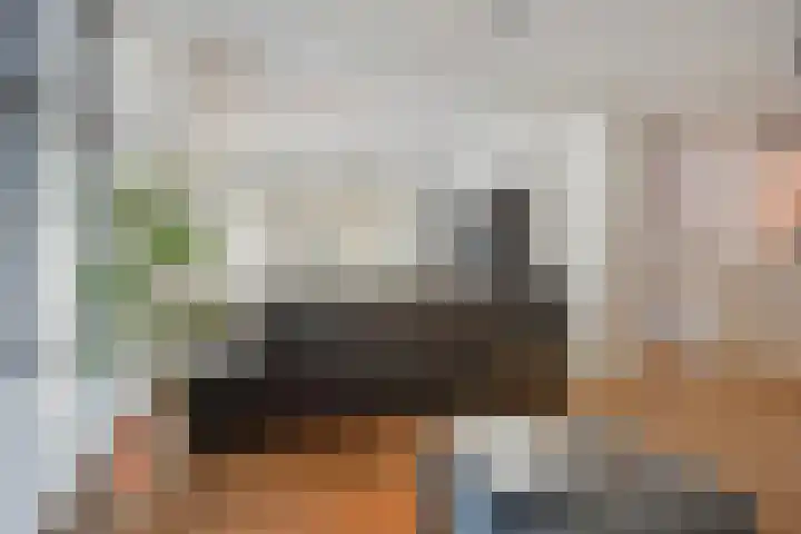 Jasonstraat 33 Amsterdam thumbnail 10