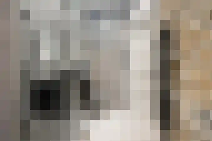 Jasonstraat 33 Amsterdam thumbnail 18
