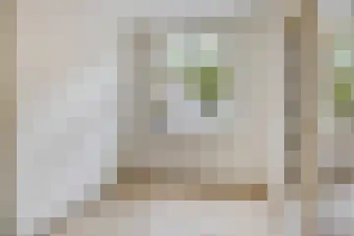 Jasonstraat 36 1 Amsterdam thumbnail 6