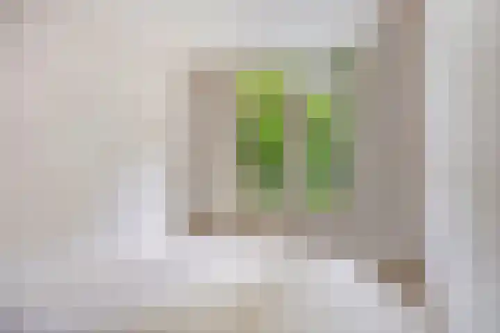 Jasonstraat 36 1 Amsterdam thumbnail 8