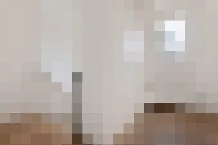 Jasonstraat 53 1 Amsterdam thumbnail 27